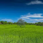 Campagna *
