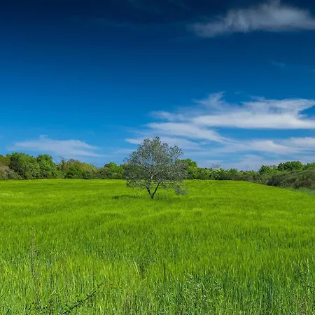 Campagna *