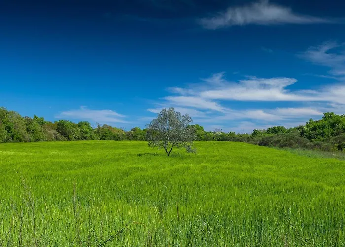 Campagna *